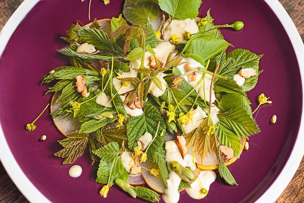 Baumblätter-Salat
