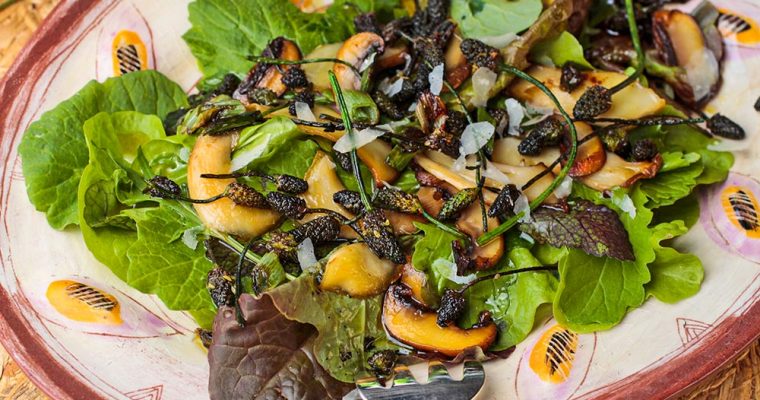 Grüner Salat mit Pilzen und Spitzwegerich