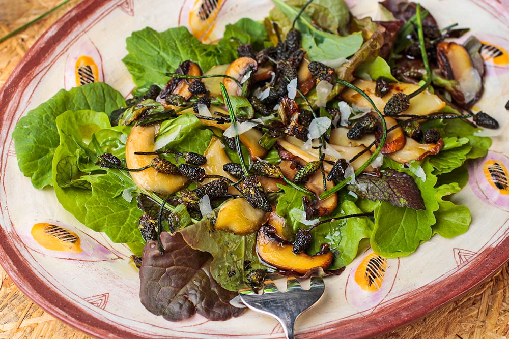 Grüner Salat mit Pilzen und Spitzwegerich
