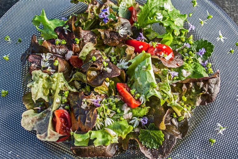 Salat mit Baerlauchfruechten