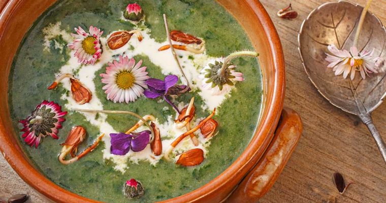 Spinatsuppe mit Buchensprossen