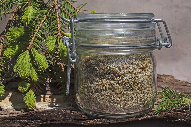 Fichtenspitzensalz Glas zu