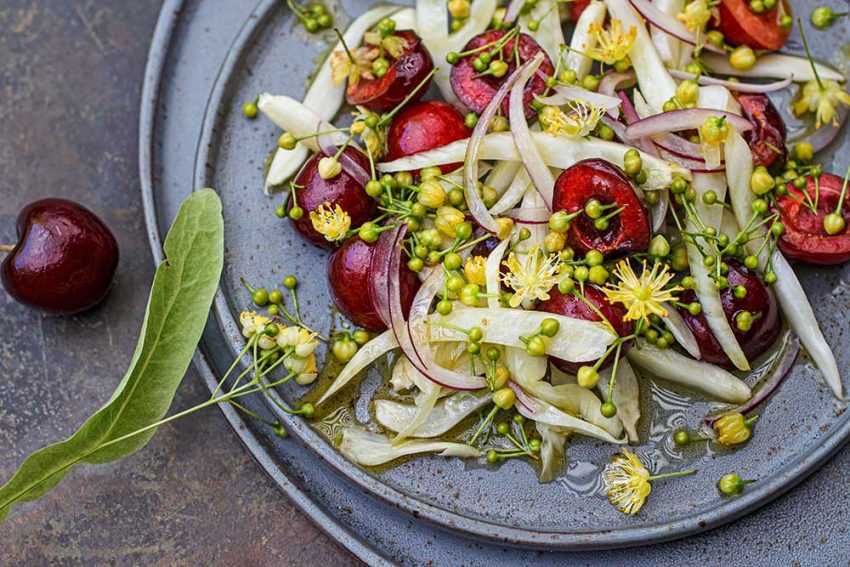 Fenchel-Kirschsalat-Lindenblueten