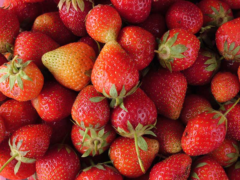 Erdbeeren