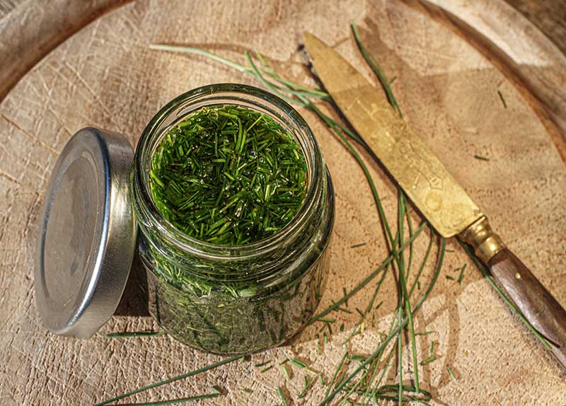 wilder Schnittlauch Oel