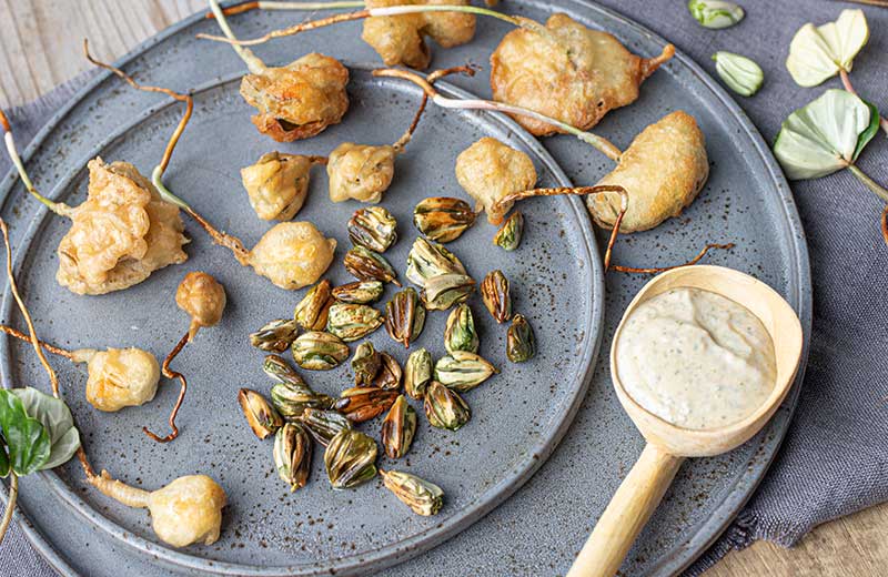 frittierte gebackene Buchensprossen 3