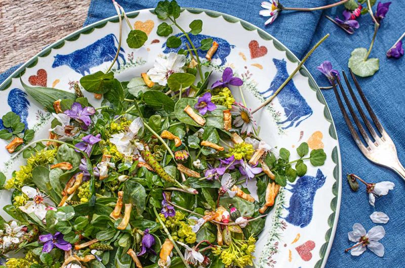wildkraeutersalat-mit-wildblueten