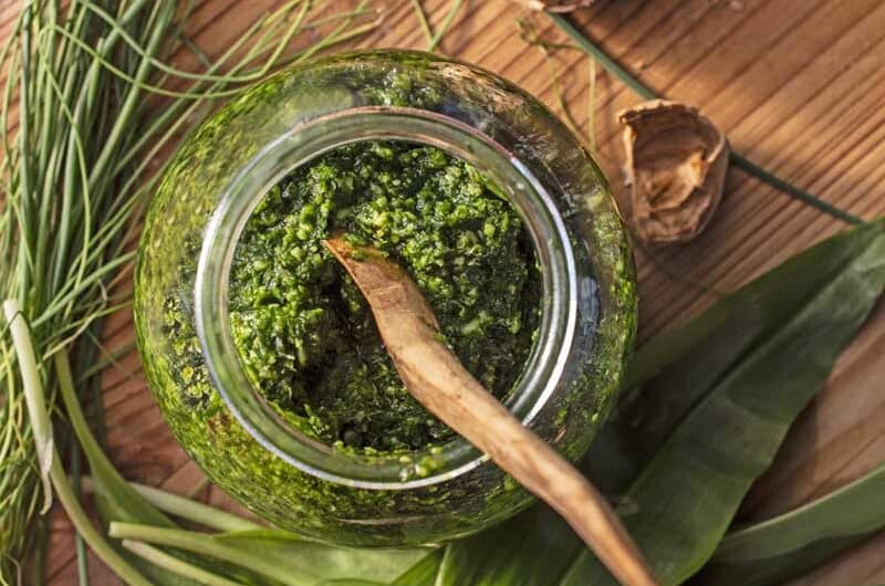 baerlauchpesto