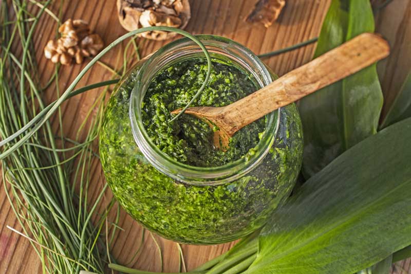 baerlauchpesto