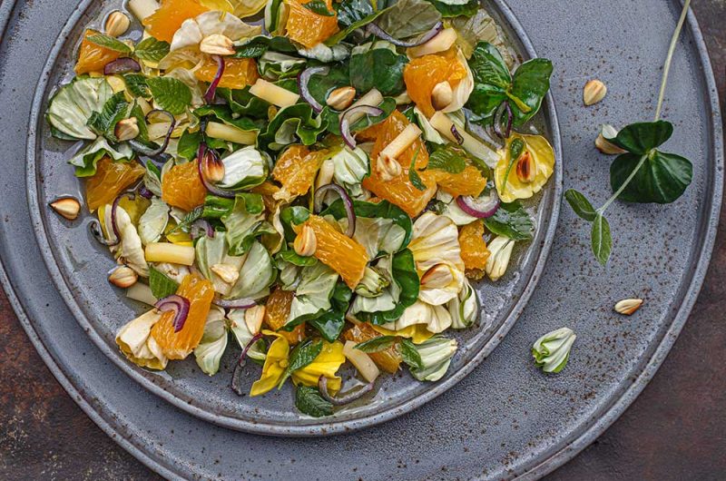Buchensprossensalat