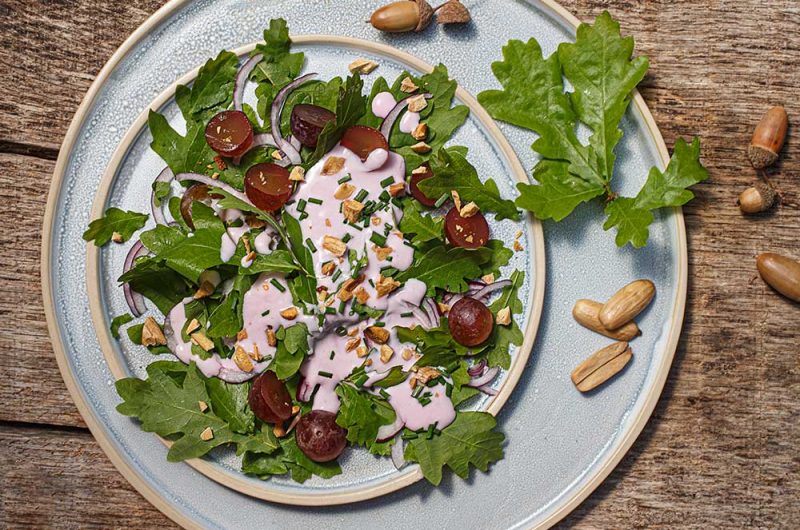 Eichenblattsalat