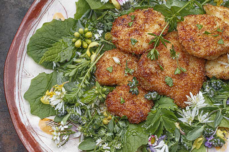 Hähnchenfilet-Kokosmantel-Rainkohlsalat