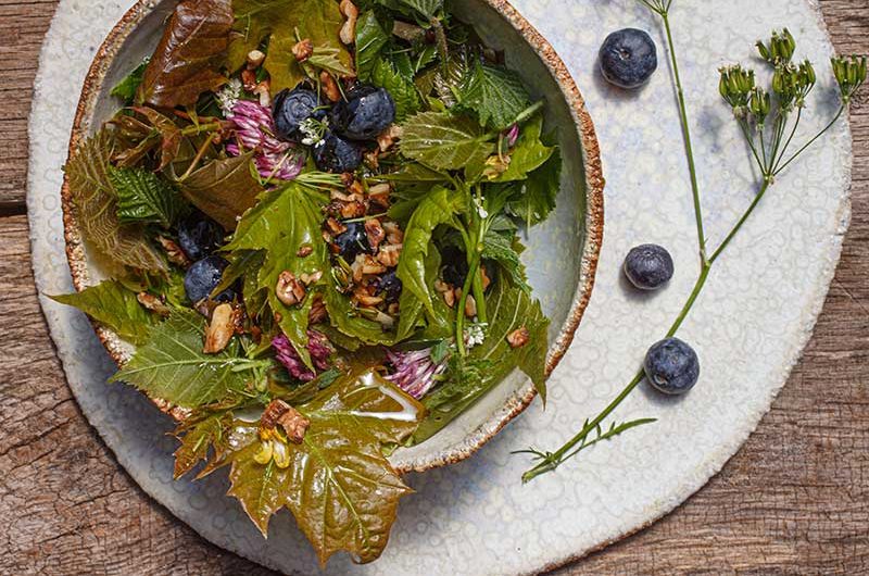 Baumblaettersalat-Walnuesse-Blaubeeren