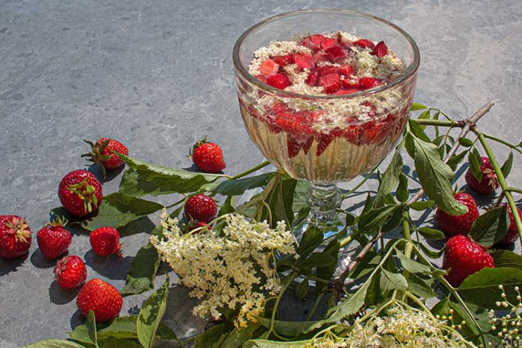 Getränke Archive | kochlust