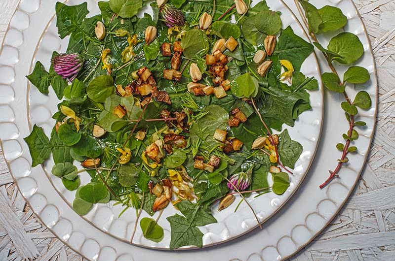 Hainsalat-Sauerklee