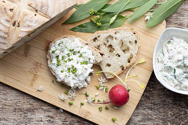 Weizensauerteigbrot Quark
