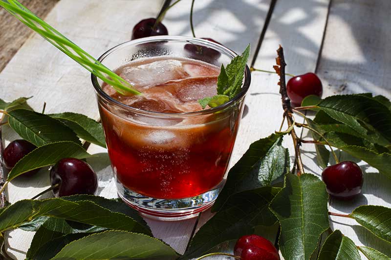 Kirschcocktail 2