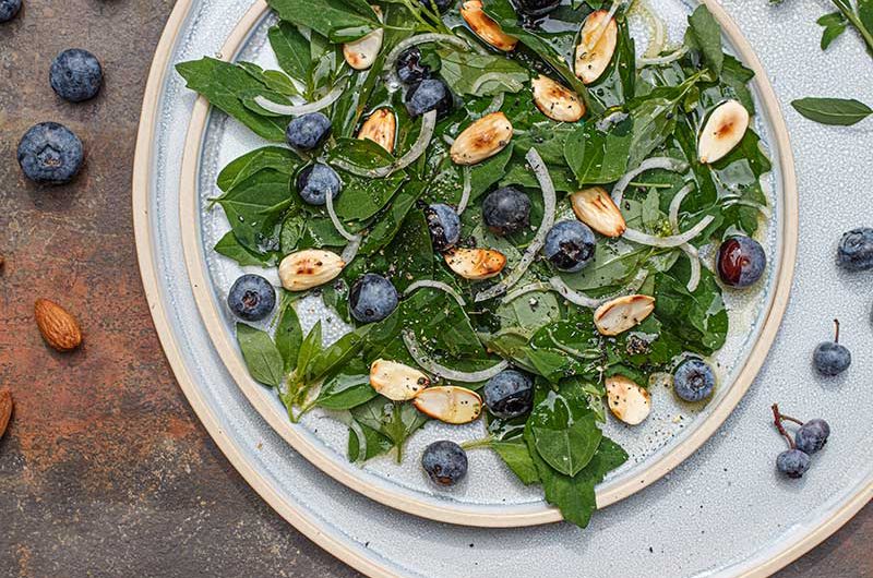 Meldesalat-Blaubeeren