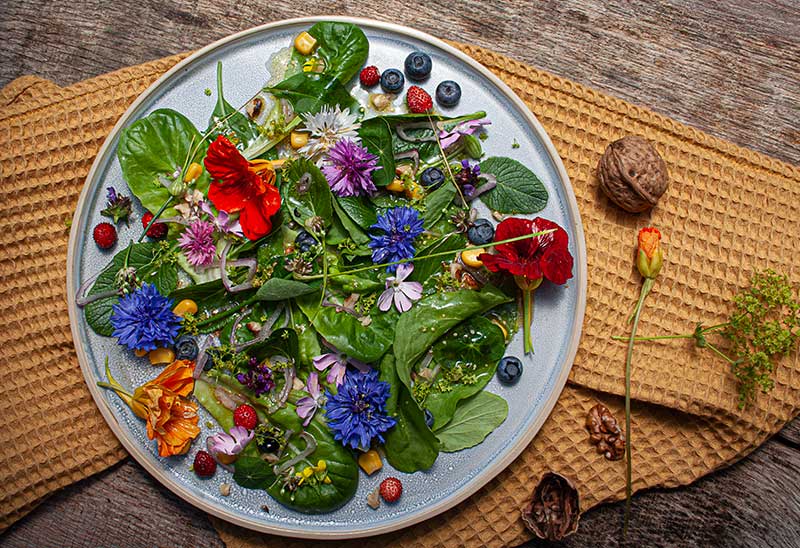 wildbluetensalat 3