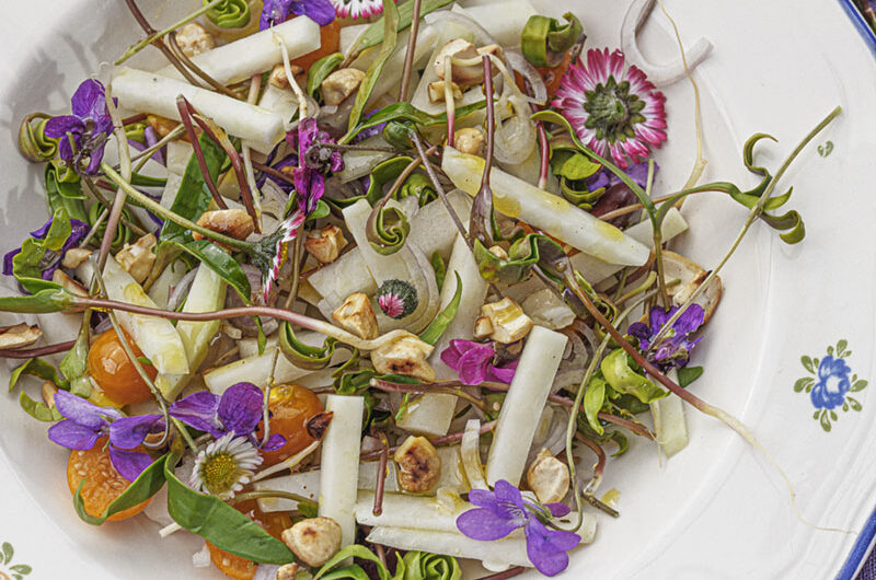 Salat-Ahornsprossen