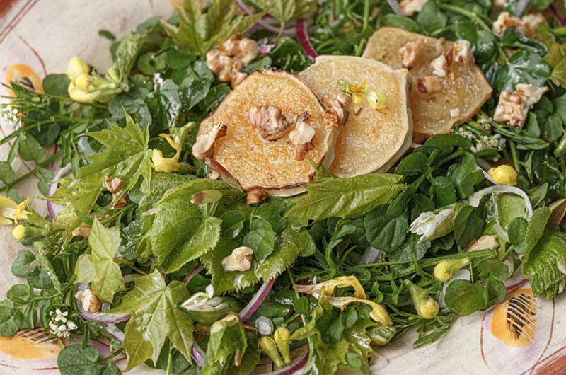 Schaumkrautsalat-Ziegenkaese-Baumblaetter