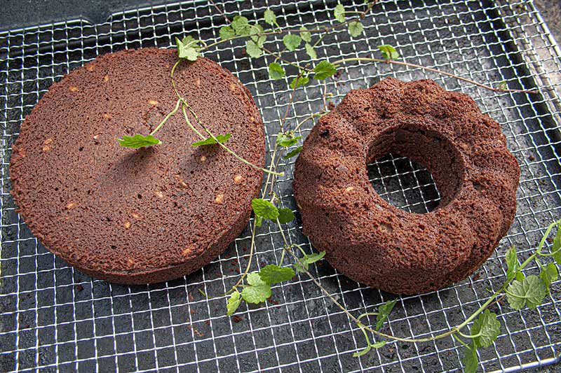 Schokokuchen gebacken