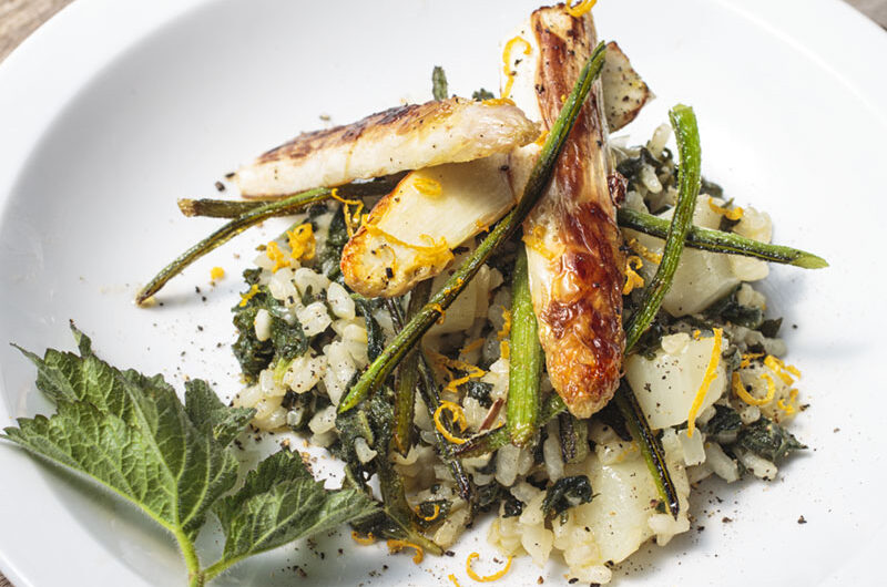 Risotto-mit-wiesenbaerenklau