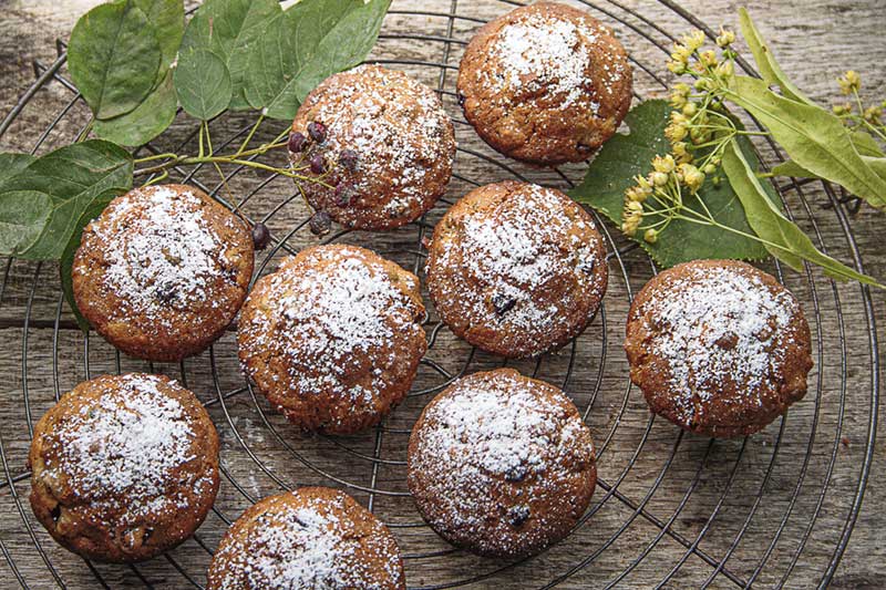 Felsenbirnen-Muffins-Puderzucker