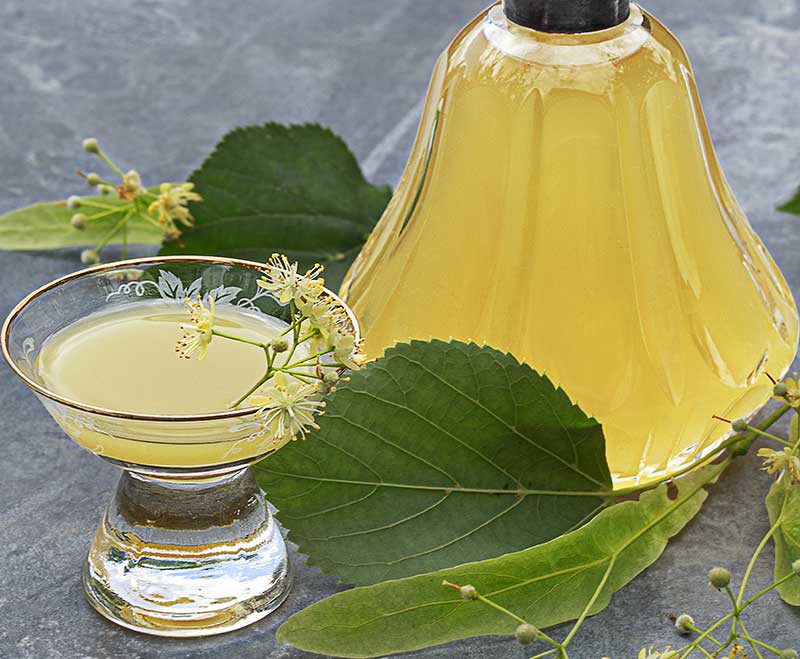 Lindenbluetensirup makro