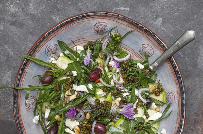 Wiesenpippausalat-Avocado-Oliven