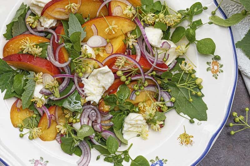 wildkraeutersalat-mit-nektarinen
