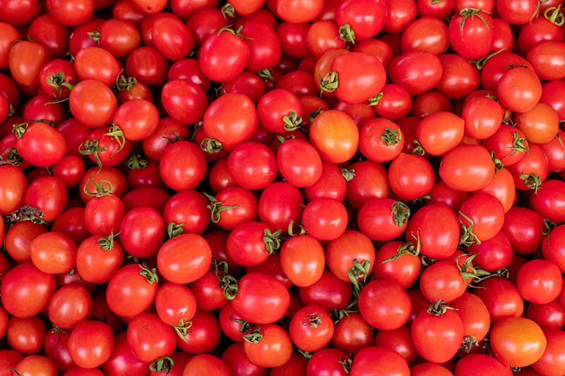kirschtomaten