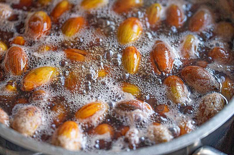 Eicheln kochen