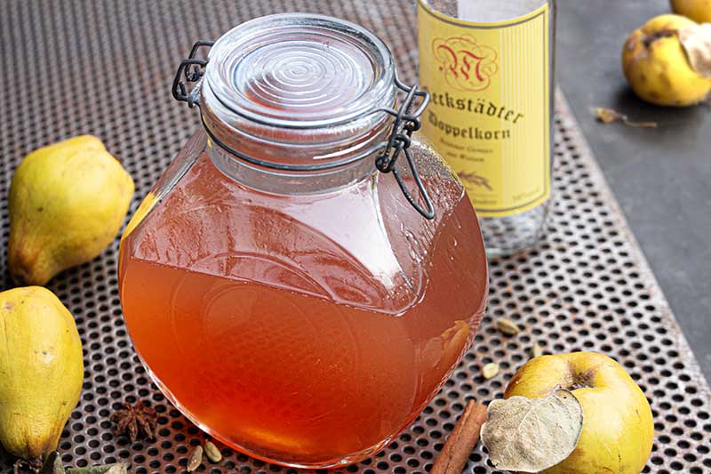 Qittenlikoer angesetzt