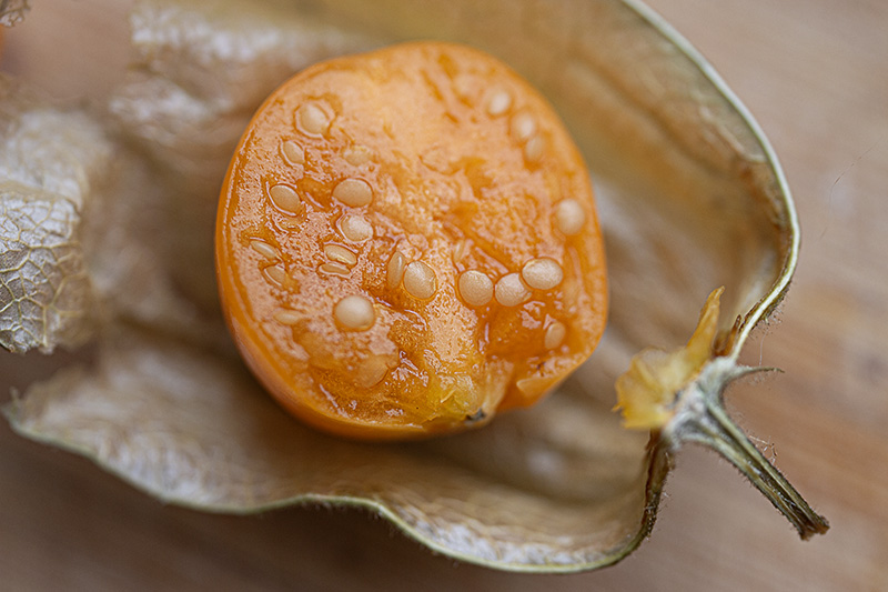 Physalis Frucht Kerne 1