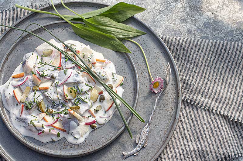 Bismarckhering-Bärlauch-Schnittlauch-(3)