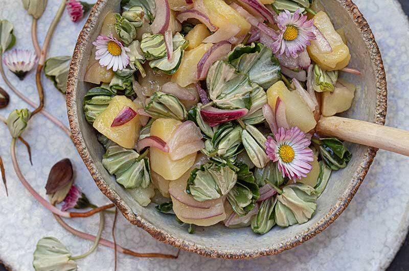 Kartoffelsalat-Buchensprossen-makro