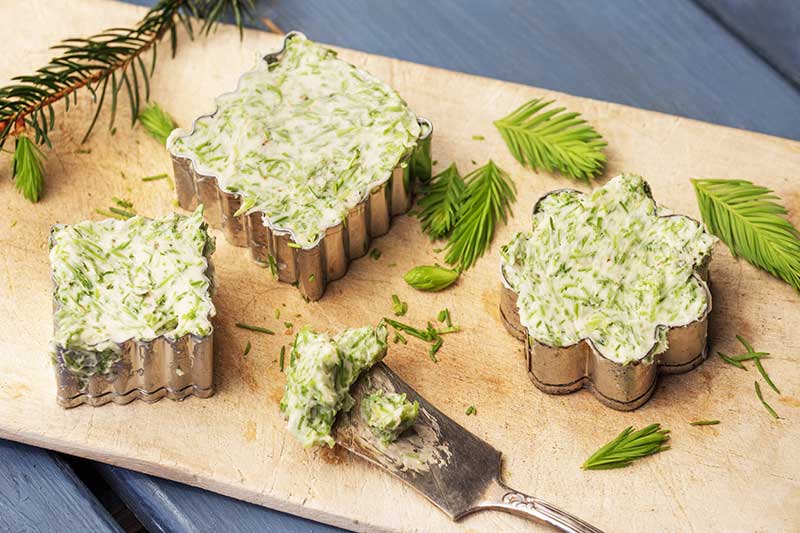 Fichtenspitzenbutter