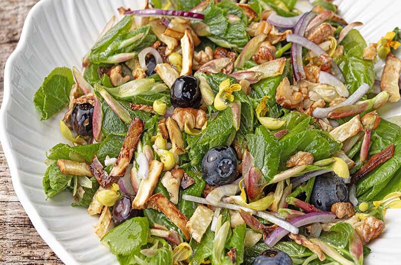 Lindenblattsalat