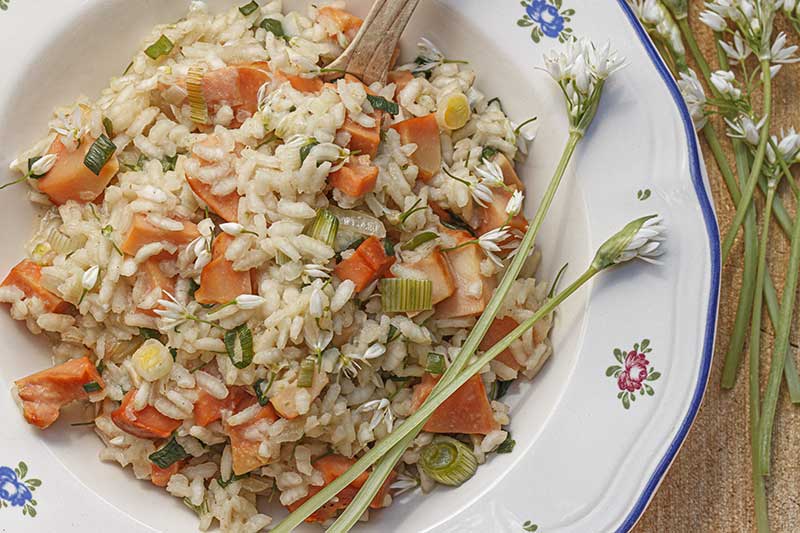 Schwefelporling-Risotto-Bärlauchblüten