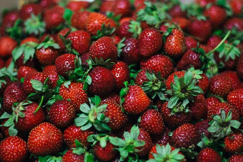 erdbeeren