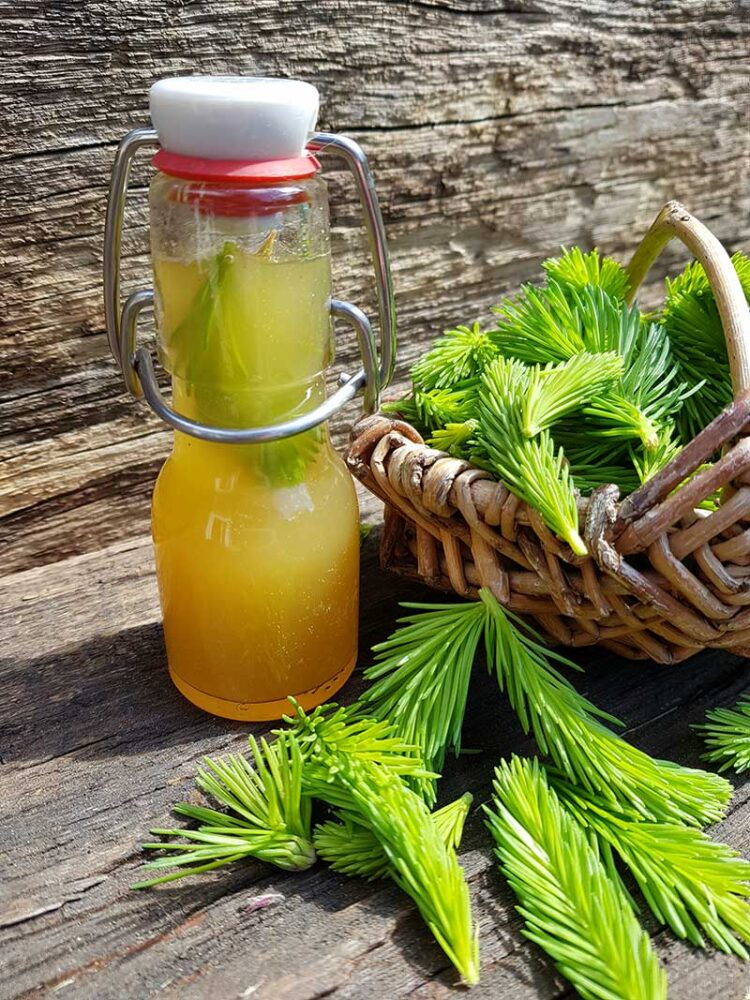 fichtenspitzensirup