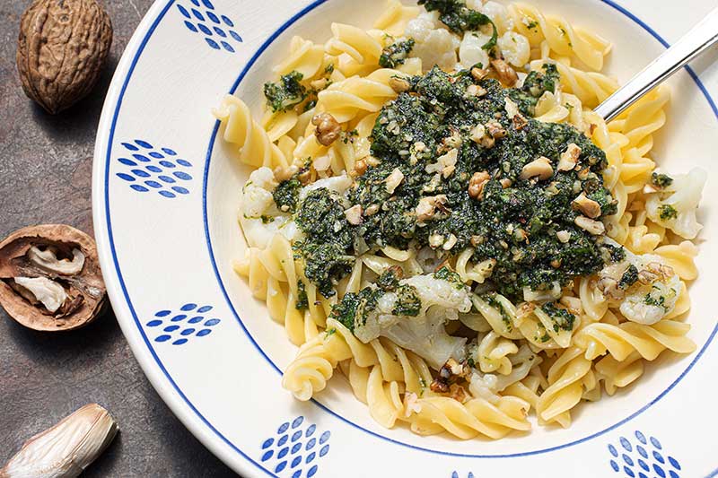 Nudeln-Blumenkohl-Rainkohlpesto