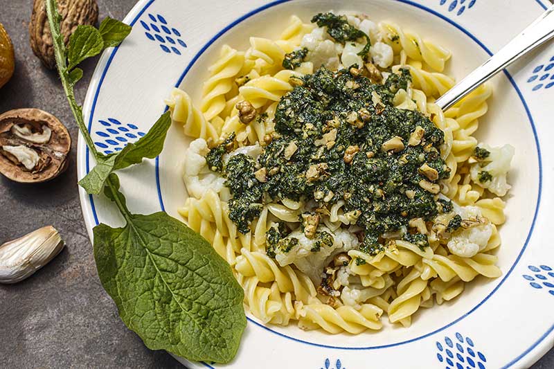 Nudeln Rainkohlpesto