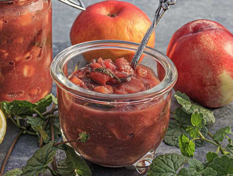 Rhabarber-Apfel-Nektarinen-Chutney