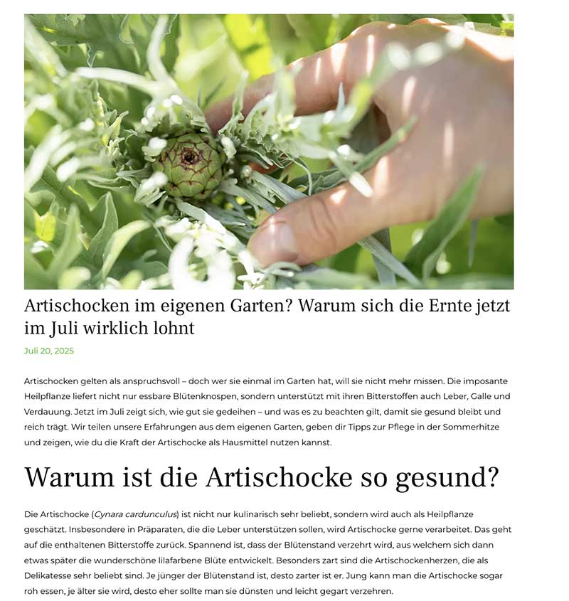 Blogbeitrag artischocke
