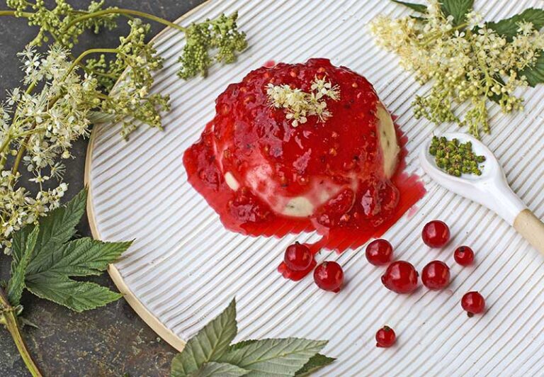 Mädesüß-Pannacotta