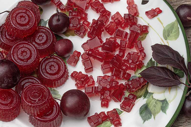 Gummibaerchen makro