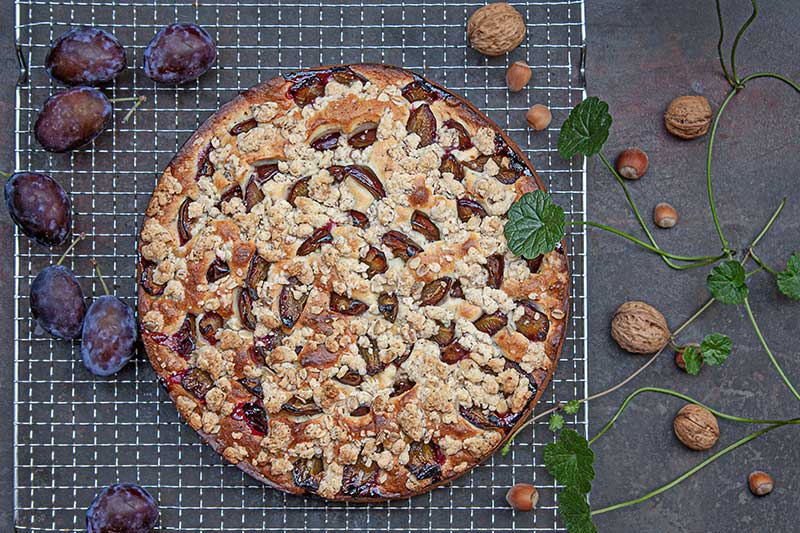 Zwetschenkuchen-gebacken-Gitter