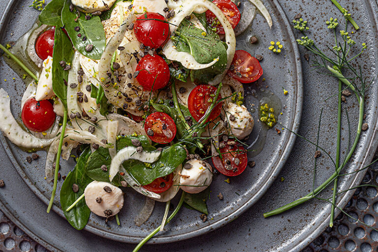 Sauerampfer-Fenchel-Salat